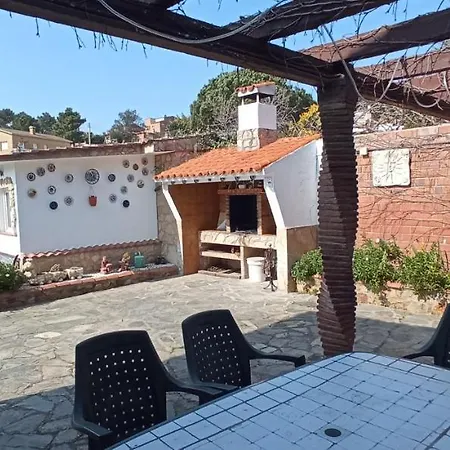 Gira-sol